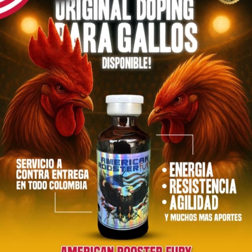 American Rooster Fury