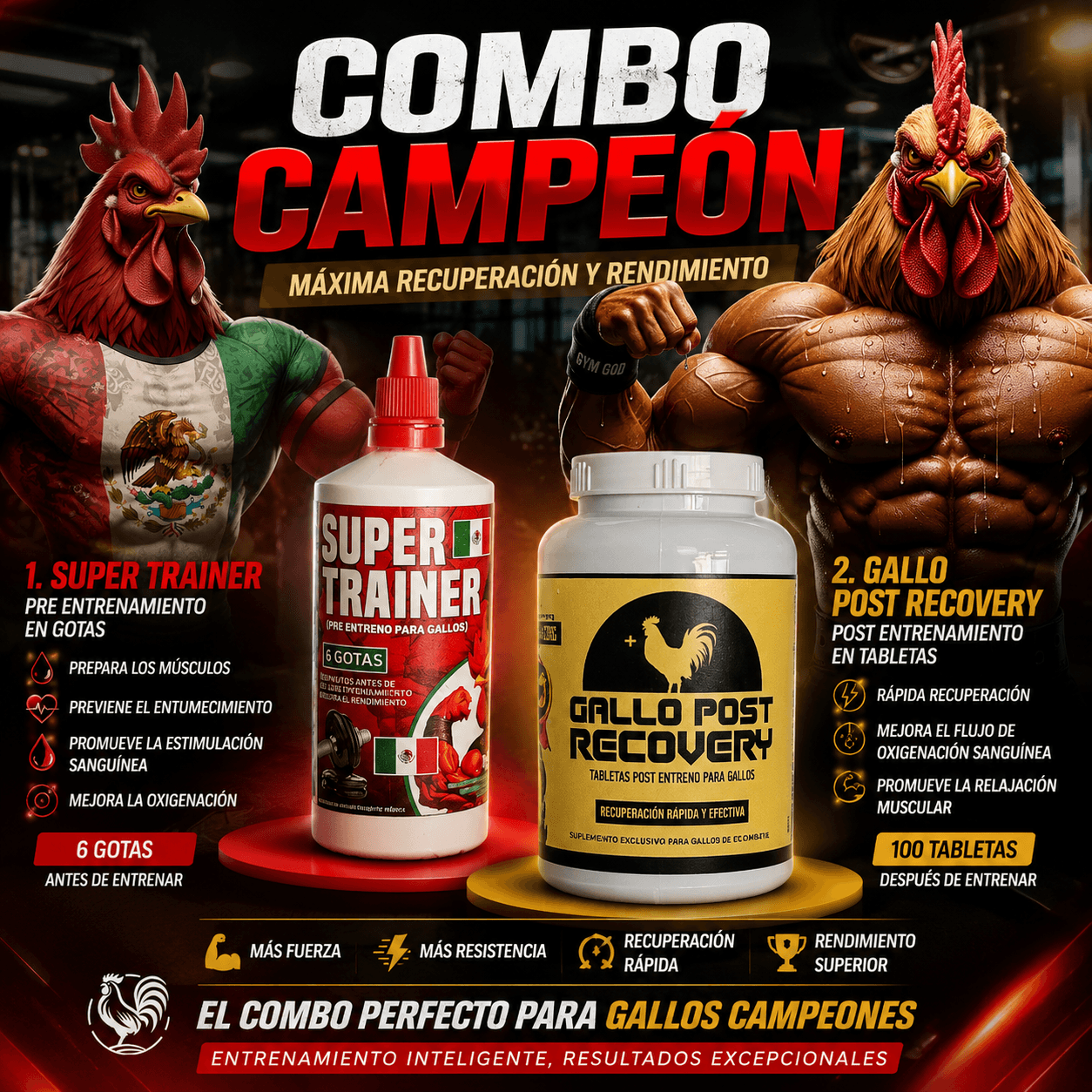 Kit Entreno + Recovery