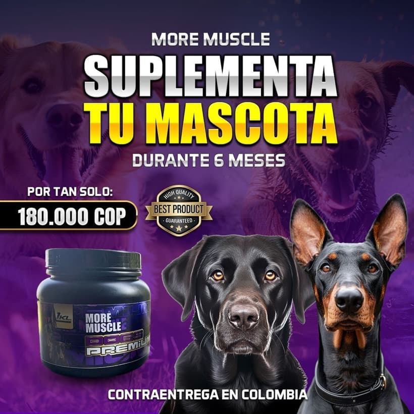 More Muscle Dogs Premium
