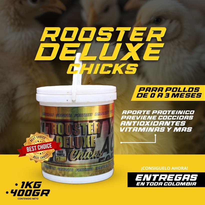 Rooster Deluxe Chicks